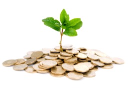 Moedas e Planta